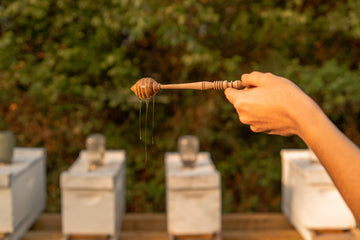 Good Hope Farms Pure Honey